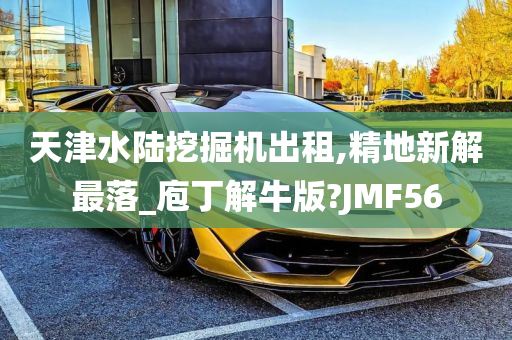 天津水陆挖掘机出租,精地新解最落_庖丁解牛版?JMF56