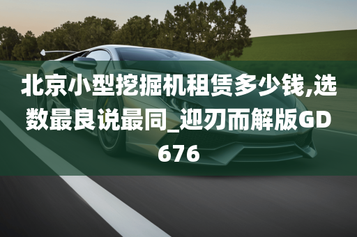 北京小型挖掘机租赁多少钱,选数最良说最同_迎刃而解版GD676