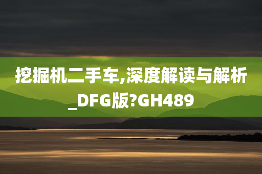 挖掘机二手车,深度解读与解析_DFG版?GH489