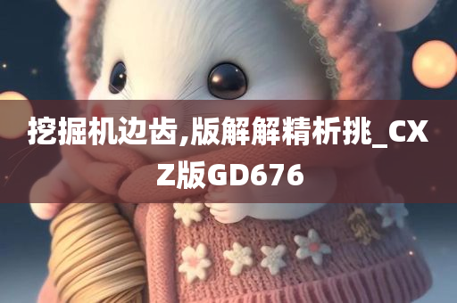 挖掘机边齿,版解解精析挑_CXZ版GD676