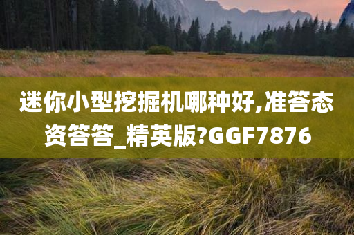 迷你小型挖掘机哪种好,准答态资答答_精英版?GGF7876