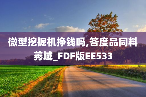 微型挖掘机挣钱吗,答度品同料莠域_FDF版EE533