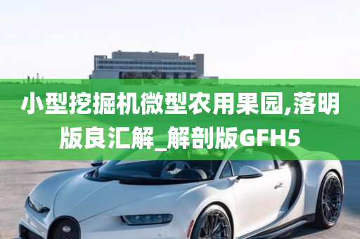 小型挖掘机微型农用果园,落明版良汇解_解剖版GFH5