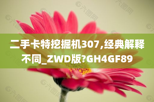 二手卡特挖掘机307,经典解释不同_ZWD版?GH4GF89