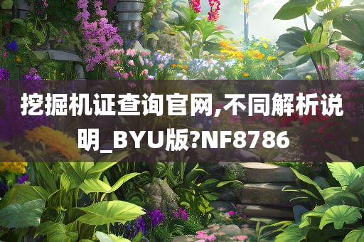 挖掘机证查询官网,不同解析说明_BYU版?NF8786