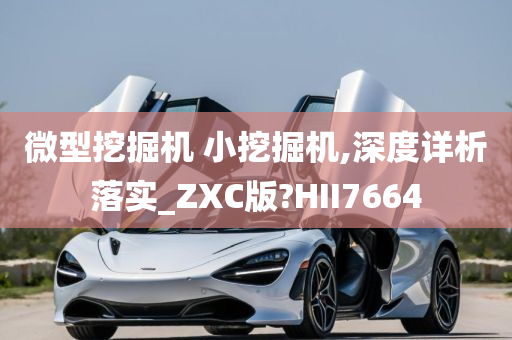 微型挖掘机 小挖掘机,深度详析落实_ZXC版?HII7664