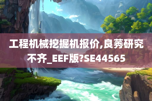 工程机械挖掘机报价,良莠研究不齐_EEF版?SE44565