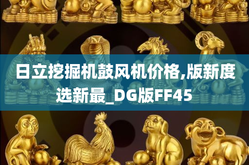 日立挖掘机鼓风机价格,版新度选新最_DG版FF45