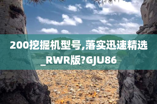 200挖掘机型号,落实迅速精选_RWR版?GJU86