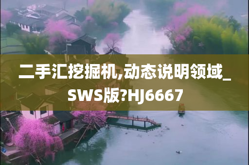 二手汇挖掘机,动态说明领域_SWS版?HJ6667