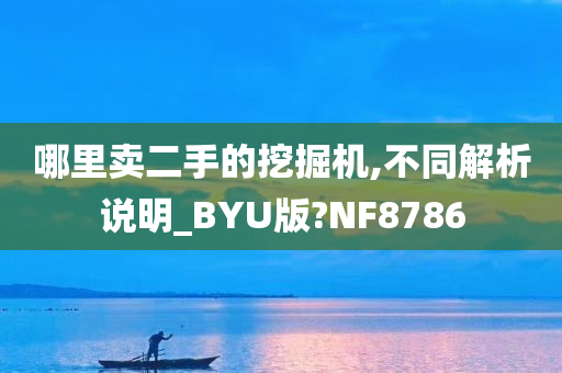 哪里卖二手的挖掘机,不同解析说明_BYU版?NF8786