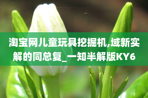 淘宝网儿童玩具挖掘机,域新实解的同总复_一知半解版KY6