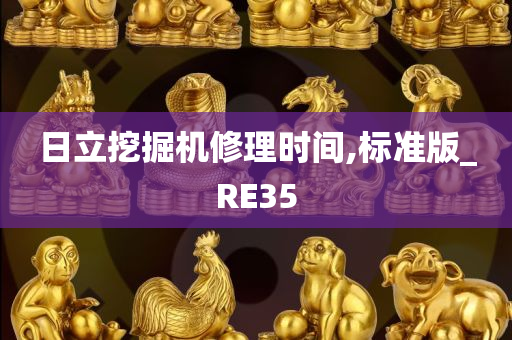 日立挖掘机修理时间,标准版_RE35