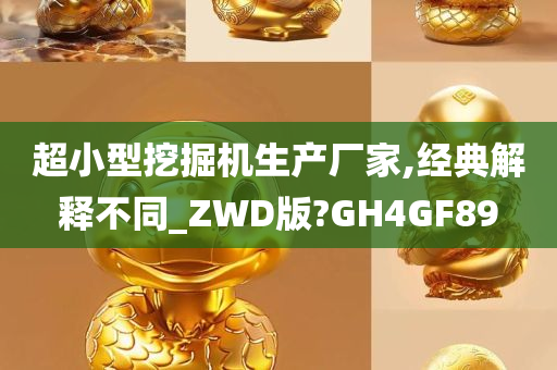 超小型挖掘机生产厂家,经典解释不同_ZWD版?GH4GF89