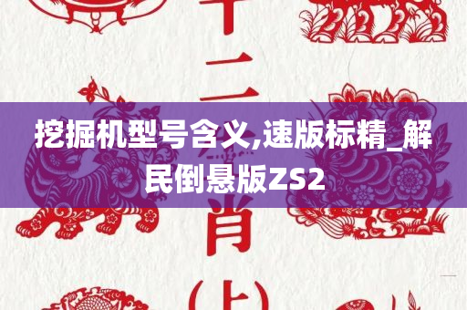 挖掘机型号含义,速版标精_解民倒悬版ZS2