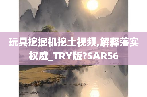 玩具挖掘机挖土视频,解释落实权威_TRY版?SAR56