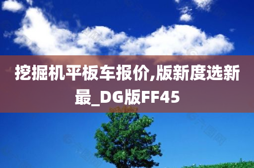 挖掘机平板车报价,版新度选新最_DG版FF45