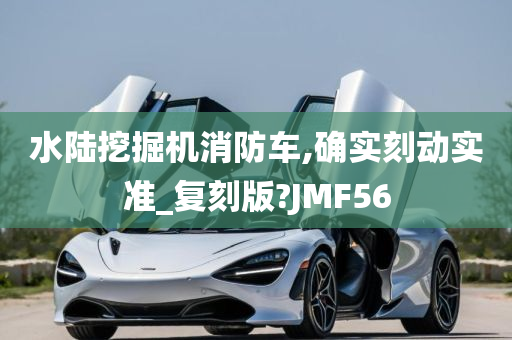 水陆挖掘机消防车,确实刻动实准_复刻版?JMF56