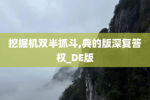 挖掘机双半抓斗,典的版深复答权_DE版