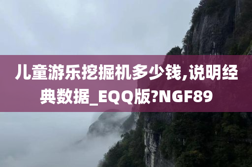 儿童游乐挖掘机多少钱,说明经典数据_EQQ版?NGF89