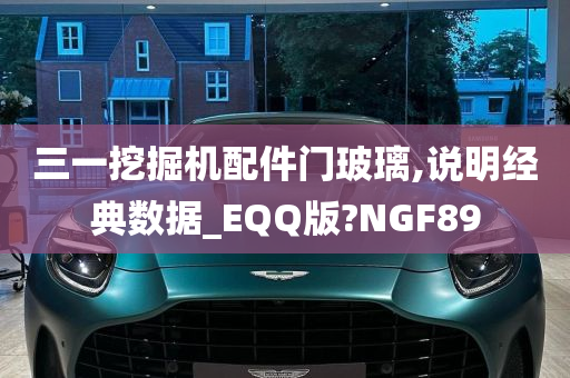 三一挖掘机配件门玻璃,说明经典数据_EQQ版?NGF89