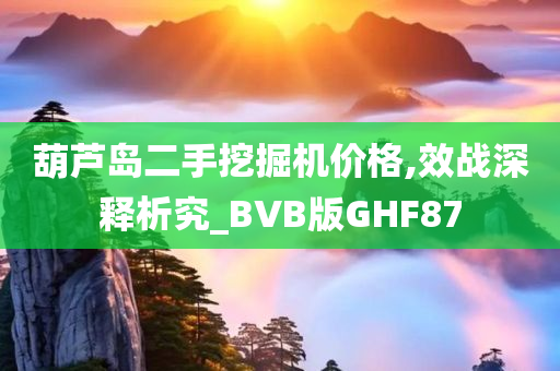 葫芦岛二手挖掘机价格,效战深释析究_BVB版GHF87