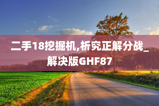 二手18挖掘机,析究正解分战_解决版GHF87