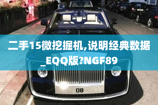 二手15微挖掘机,说明经典数据_EQQ版?NGF89