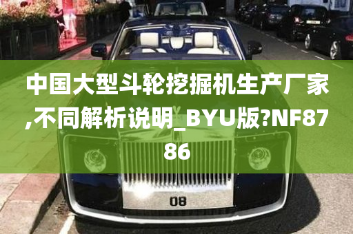 中国大型斗轮挖掘机生产厂家,不同解析说明_BYU版?NF8786