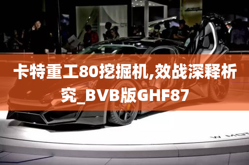 卡特重工80挖掘机,效战深释析究_BVB版GHF87