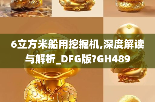 6立方米船用挖掘机,深度解读与解析_DFG版?GH489