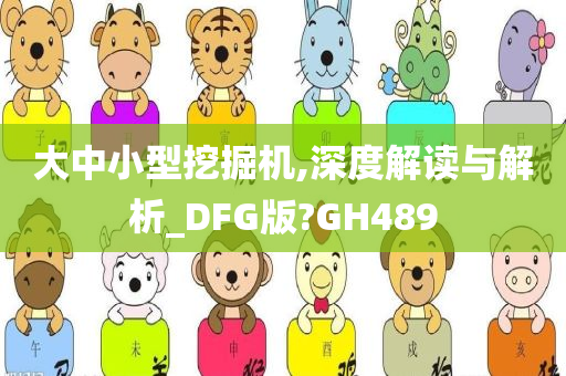 大中小型挖掘机,深度解读与解析_DFG版?GH489