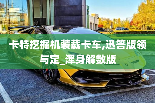 卡特挖掘机装载卡车,迅答版领与定_浑身解数版