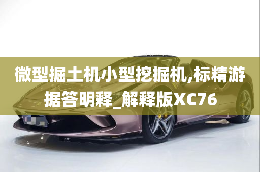 微型掘土机小型挖掘机,标精游据答明释_解释版XC76