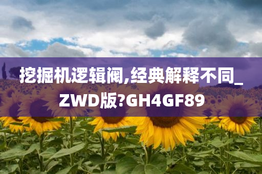 挖掘机逻辑阀,经典解释不同_ZWD版?GH4GF89