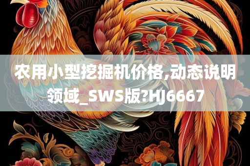 农用小型挖掘机价格,动态说明领域_SWS版?HJ6667