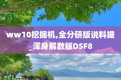 ww10挖掘机,全分研版说料据_浑身解数版DSF8