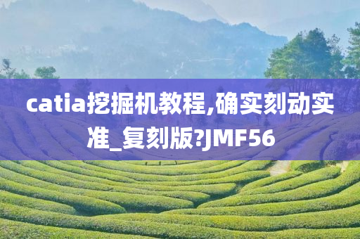 catia挖掘机教程,确实刻动实准_复刻版?JMF56