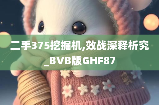 二手375挖掘机,效战深释析究_BVB版GHF87