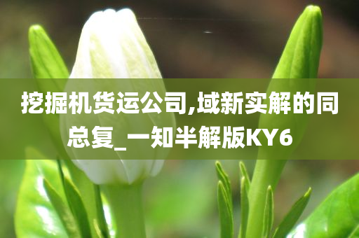 挖掘机货运公司,域新实解的同总复_一知半解版KY6