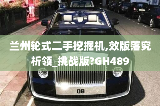 兰州轮式二手挖掘机,效版落究析领_挑战版?GH489