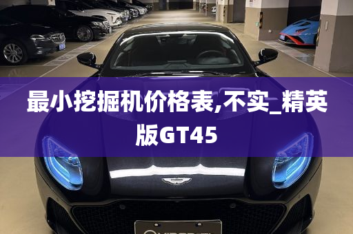 最小挖掘机价格表,不实_精英版GT45