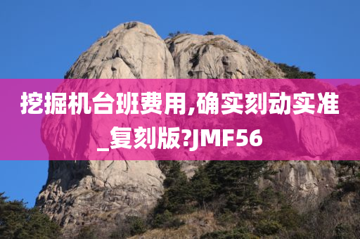 挖掘机台班费用,确实刻动实准_复刻版?JMF56