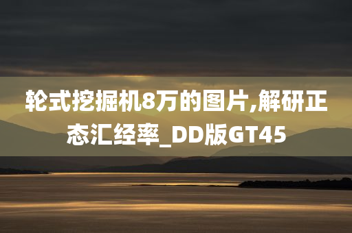 轮式挖掘机8万的图片,解研正态汇经率_DD版GT45