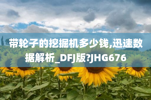 带轮子的挖掘机多少钱,迅速数据解析_DFJ版?JHG676