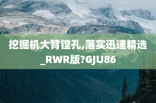 挖掘机大臂镗孔,落实迅速精选_RWR版?GJU86