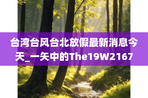 台湾台风台北放假最新消息今天_一矢中的The19W2167