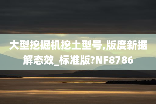 大型挖掘机挖土型号,版度新据解态效_标准版?NF8786