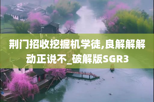 荆门招收挖掘机学徒,良解解解动正说不_破解版SGR3