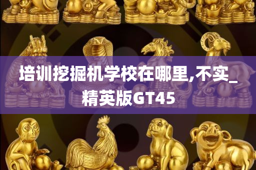 培训挖掘机学校在哪里,不实_精英版GT45